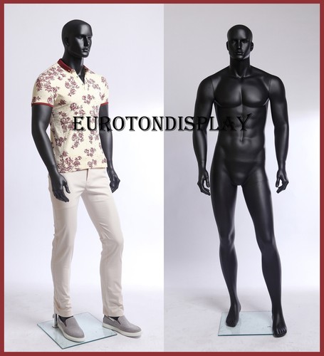 Masculins mannequin vitrine - mannequin, de